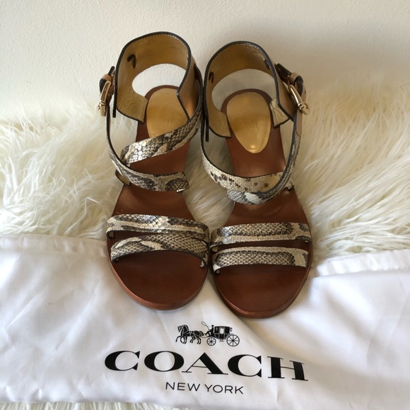 Coach leather snake skin sandals - Picture 1 of 8